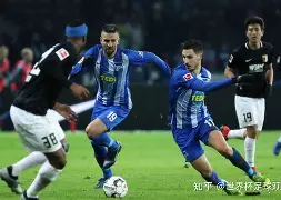 弗赖堡主场惨遭逆转，胜利红线渐行渐远的简单介绍